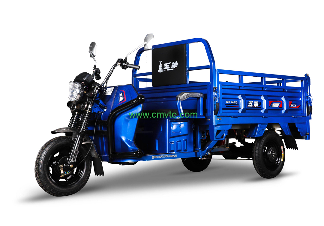 How to Convert a Gasoline Motorcycle to Electric: Complete DIY Guide (2025) 2 tricyle