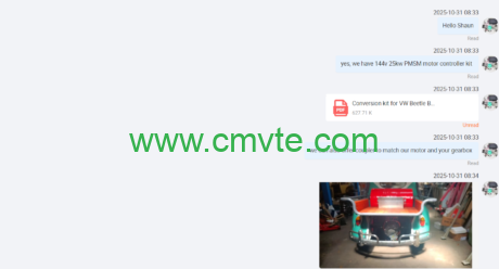 Classic Reborn: A Case Study on the Electric Conversion of the VW Beetle 1 图片1 1