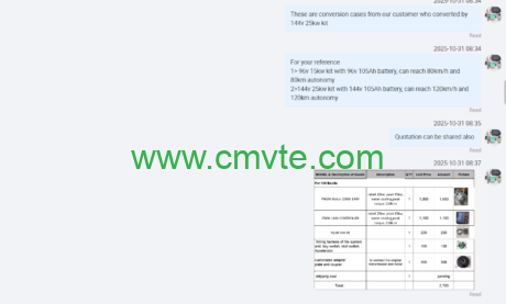 Classic Reborn: A Case Study on the Electric Conversion of the VW Beetle 3 图片3