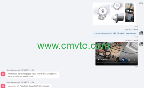 Classic Reborn: A Case Study on the Electric Conversion of the VW Beetle 4 图片4